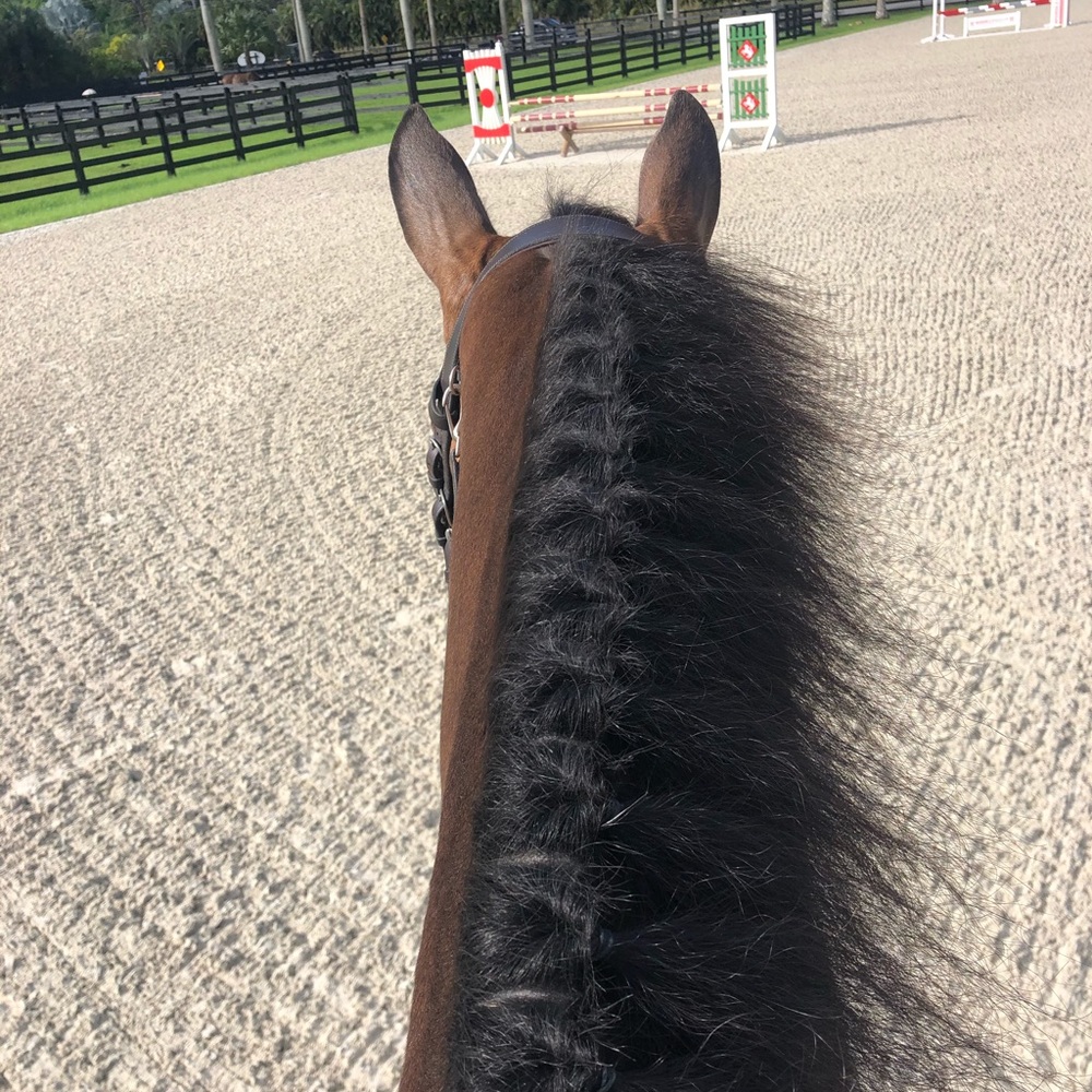 Meet your Posher, Kayla